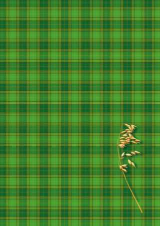 Brulion A4/200# Kreska