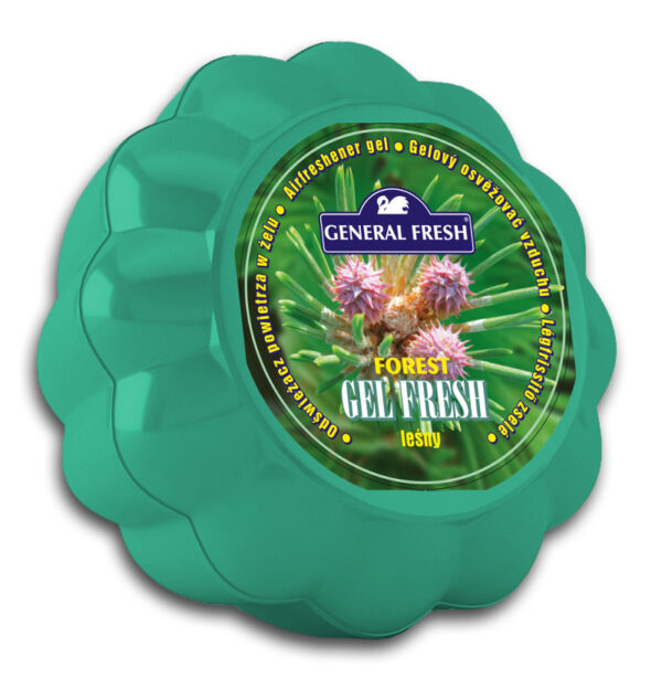 C General Fresh Dynia odświeżacz 150g Las