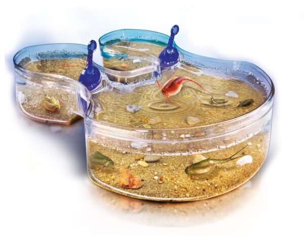 Clementoni Triops 60719