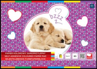 Zeszyt papierów samoprzylepnych B5 Interdruk