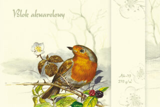 Blok akwarelowy Art Expert A4/10 250g Kreska