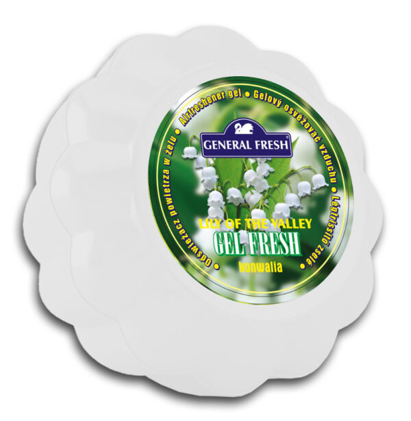 C General Fresh Dynia odświeżacz 150g Konwalia